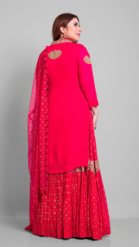 Red Punjabi Designer Dress